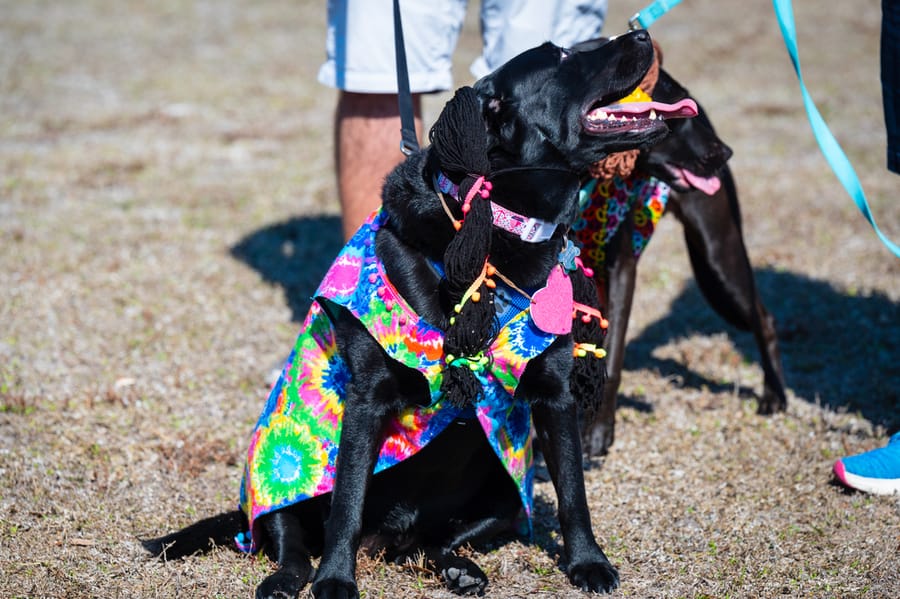 Woofstock_021222 (79)