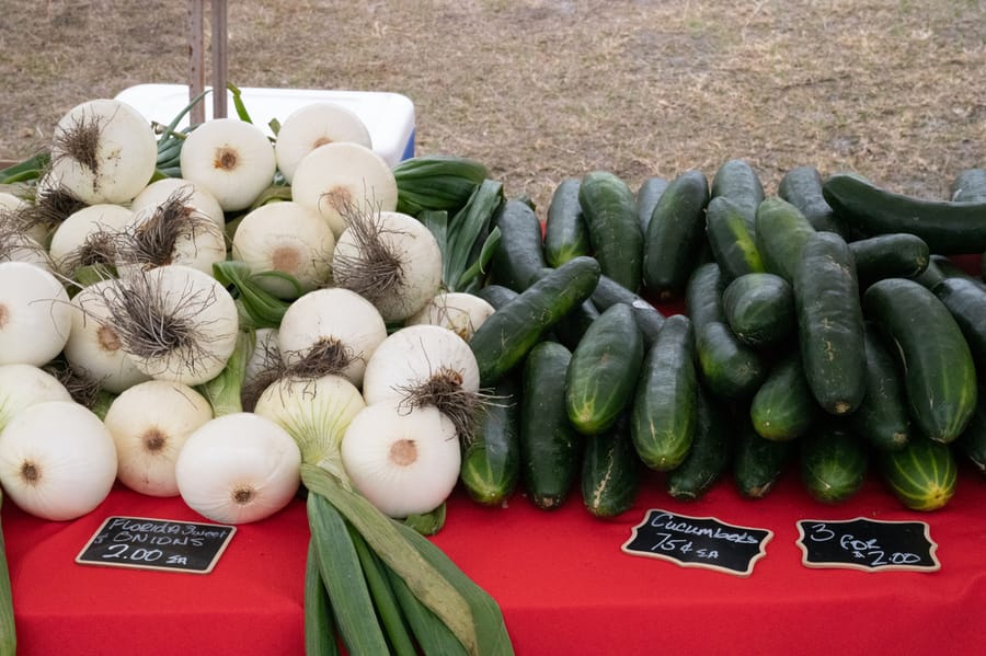 Farmers_Market_2022 (1)