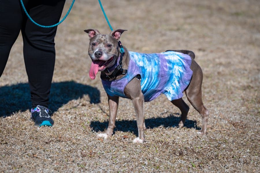Woofstock_021222 (51)
