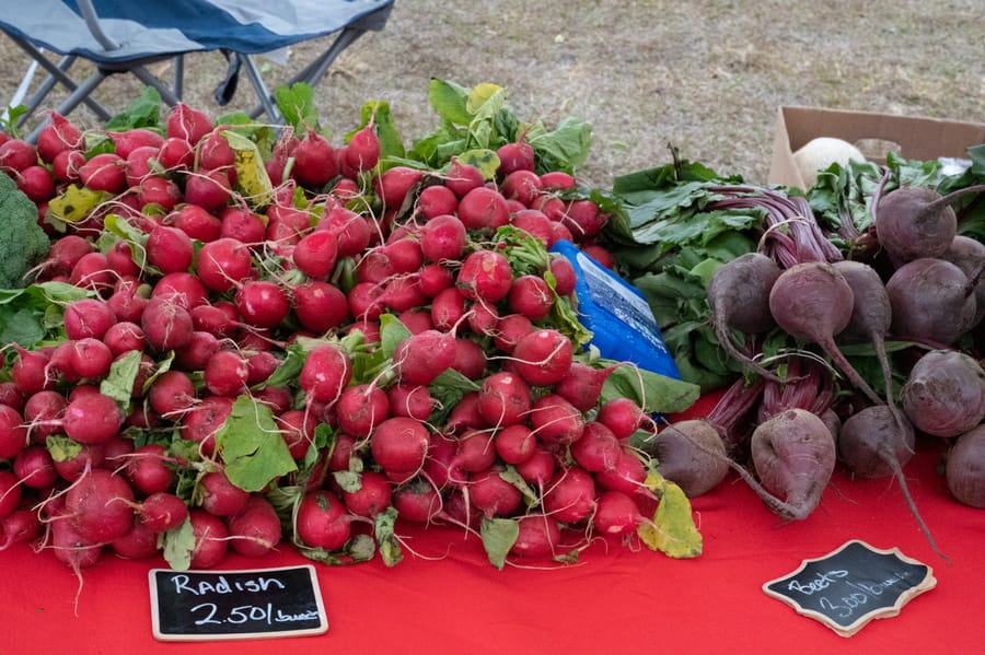 Farmers_Market_2022 (27)
