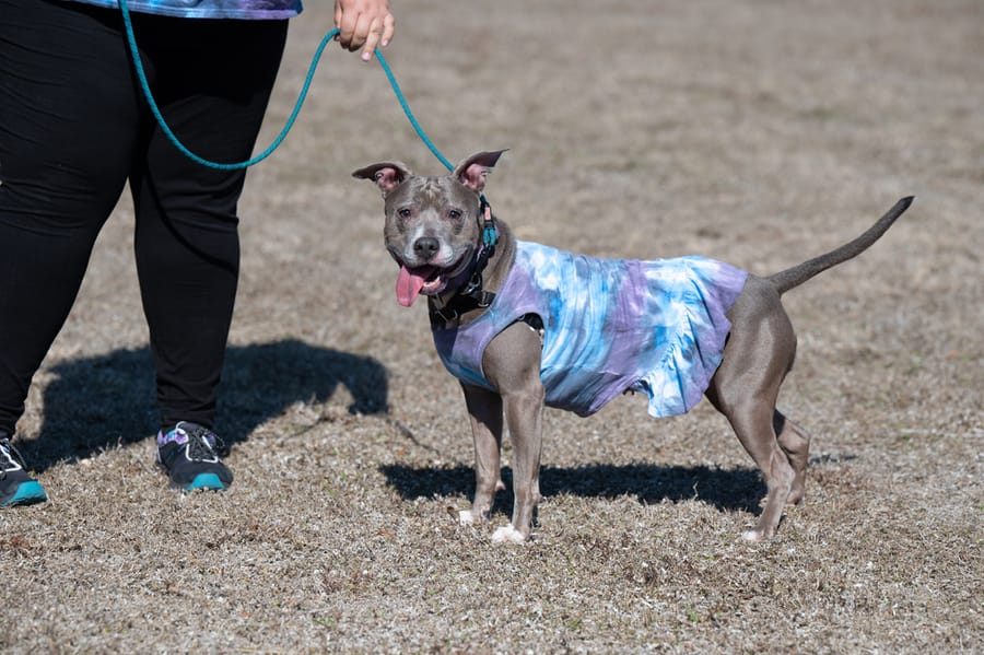 Woofstock_021222 (45)
