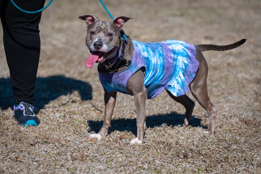 Woofstock_021222 (55)
