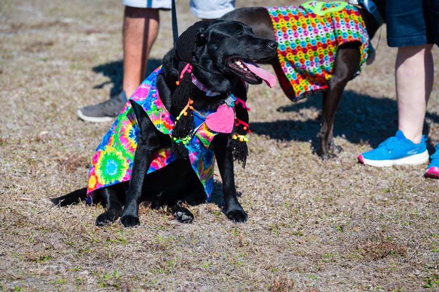 Woofstock_021222 (82)
