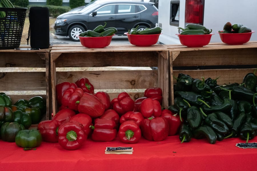 Farmers_Market_2022 (3)