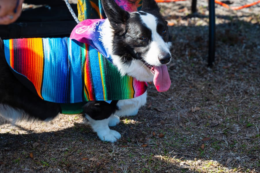 Woofstock_021222 (83)