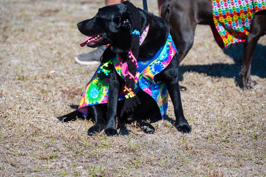 Woofstock_021222 (81)