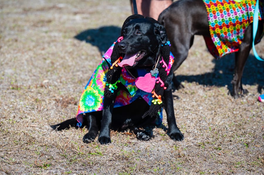 Woofstock_021222 (80)