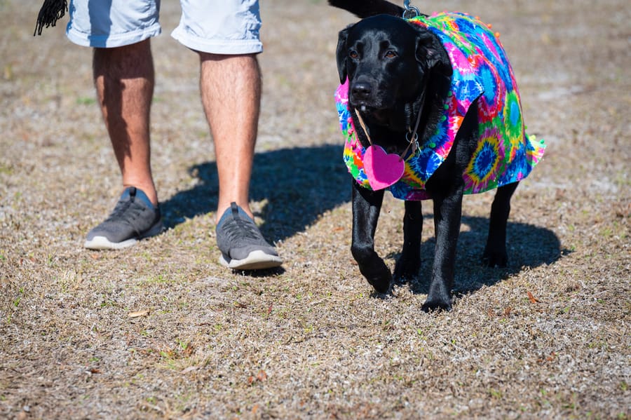 Woofstock_021222 (73)
