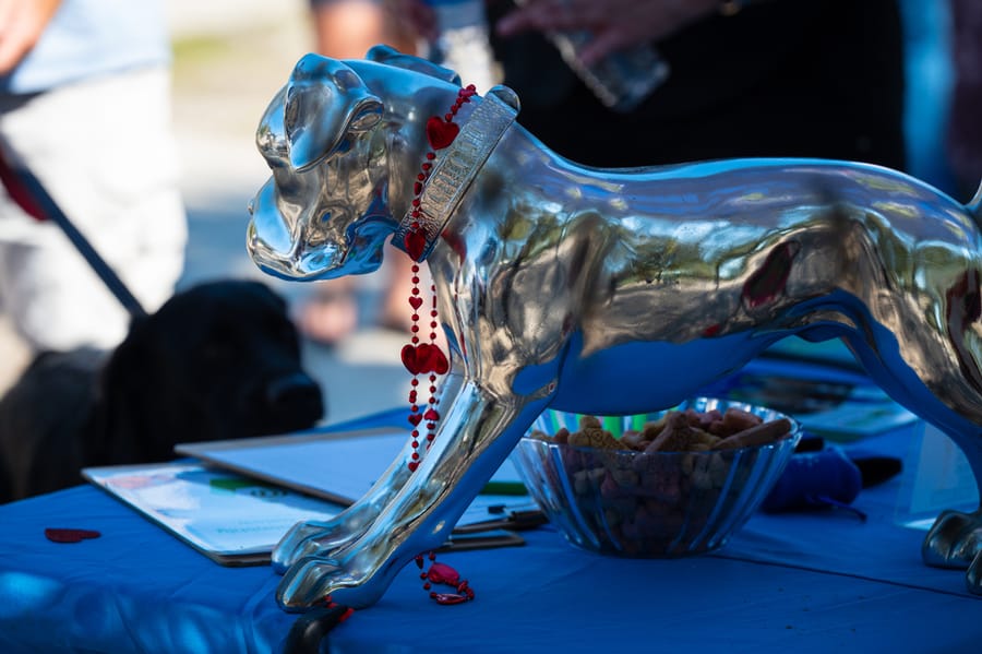 Woofstock_021222 (112)
