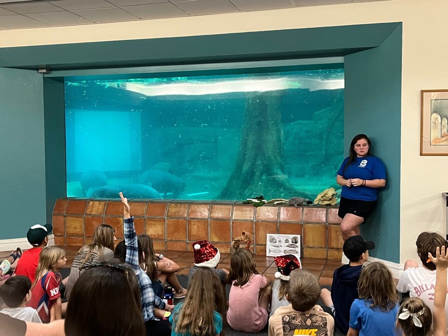 Animal Care Manatees 2