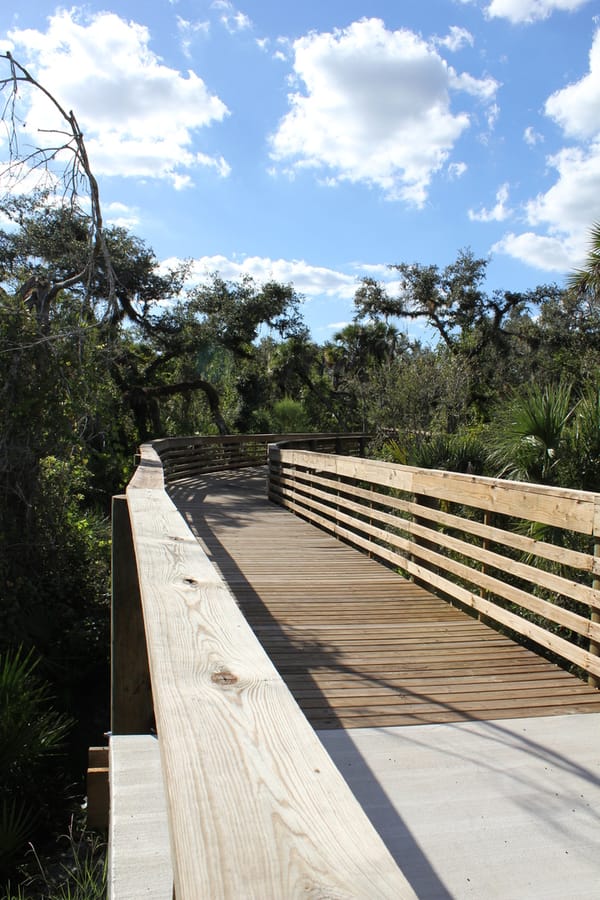 Myakkahatchee_Creek_Greenway_Nature Trail_101823 (3)
