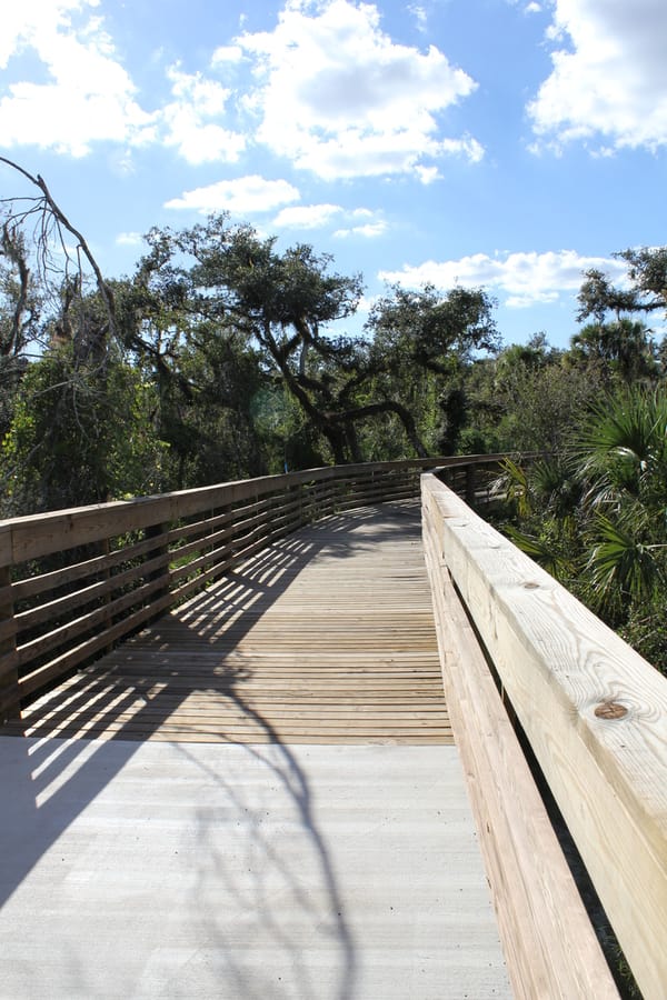 Myakkahatchee_Creek_Greenway_Nature Trail_101823 (2)
