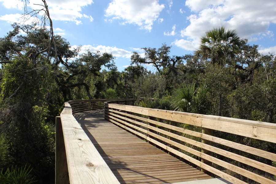 Myakkahatchee_Creek_Greenway_Nature Trail_101823 (4)