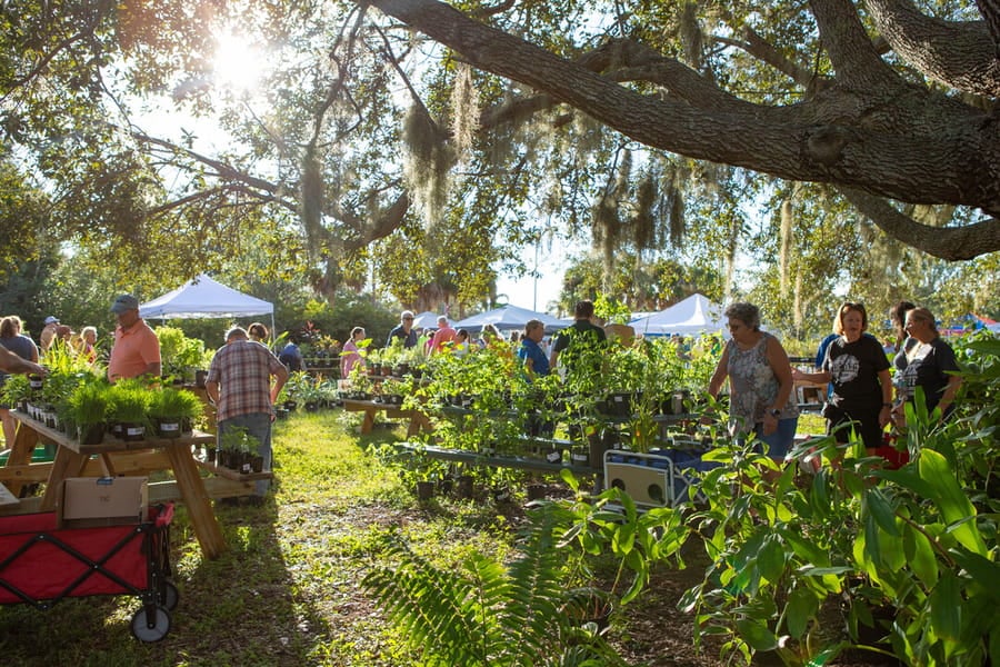20231014_IFAS Plant Sale_SB-21