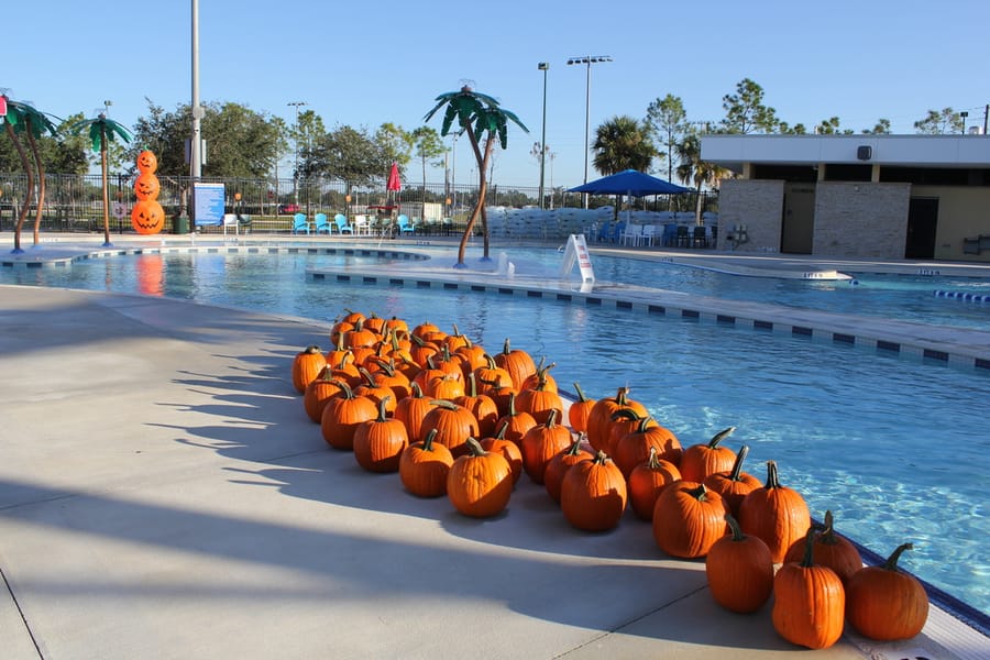 Pumpkin_Plunge102123 (1)