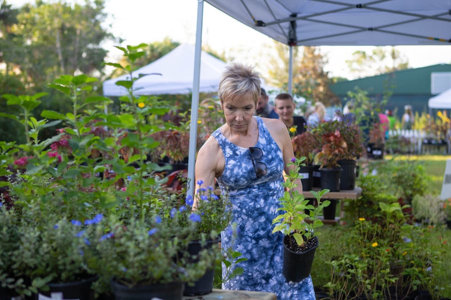 20231014_IFAS Plant Sale_SB-8