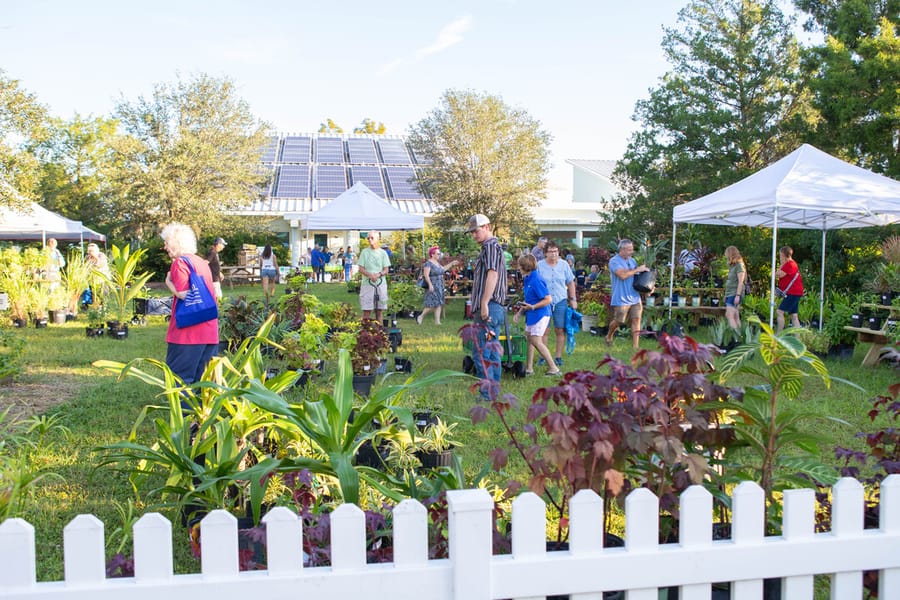 20231014_IFAS Plant Sale_SB-12