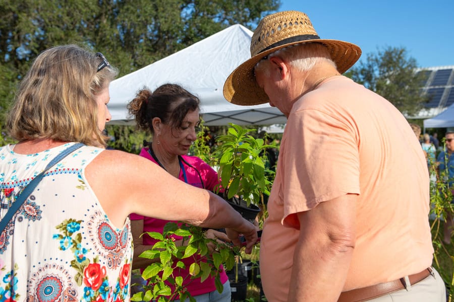 20231014_IFAS Plant Sale_SB-23