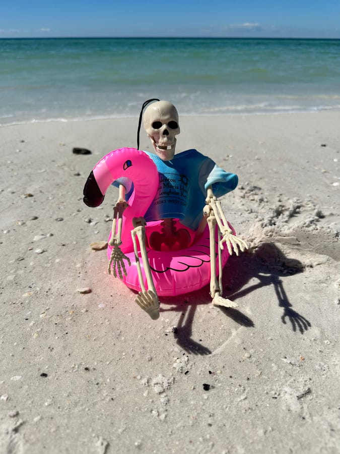 Bradenton Area Halloween