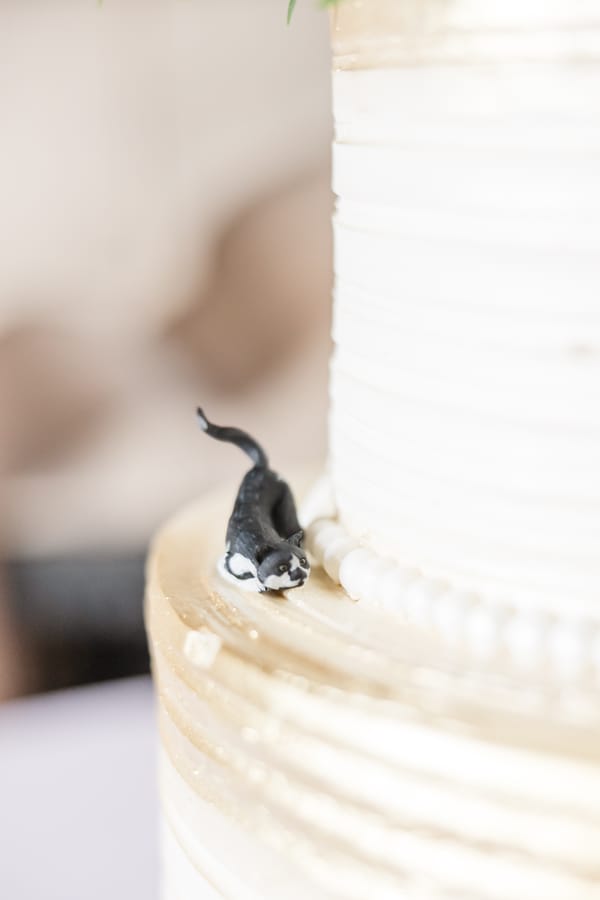 Deanna Grace Photography