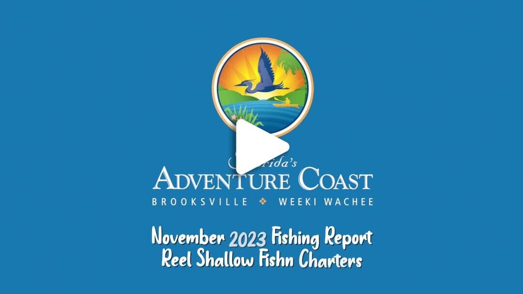 Fishing Report November 2023