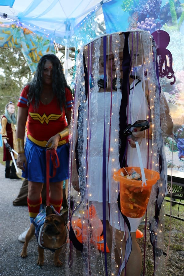 Trick_or_Treat_20231027 (377)