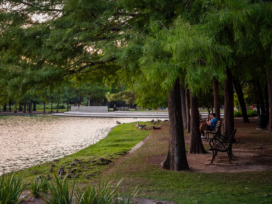 McGovern_Lake_Benches_1