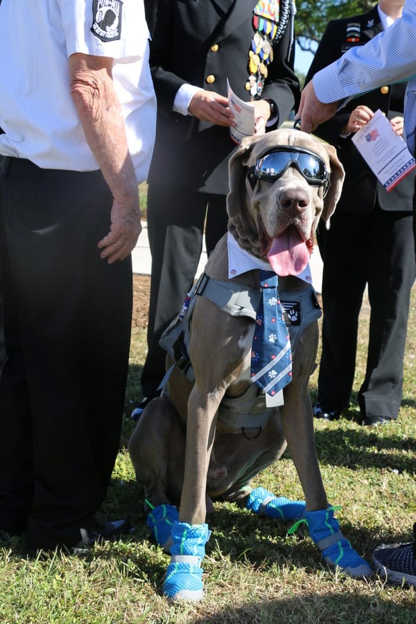 Veterans_Day_11.11 (3)