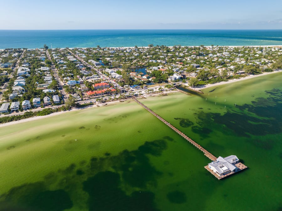 Bayfest 2023