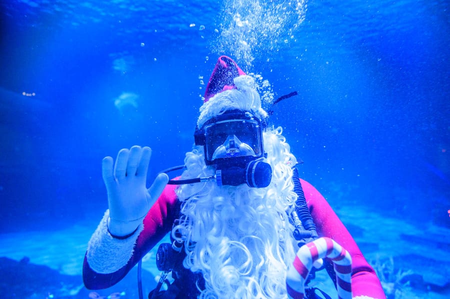 Christmas Underwater