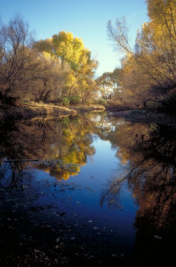 San Pedro River