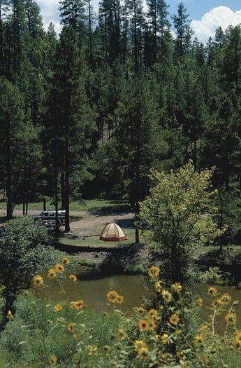 White Mountains Near Hon-Dah