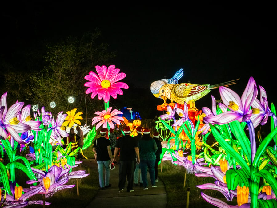 Houston_Botanic_Garden-Chinese_Lantern_Festival_3