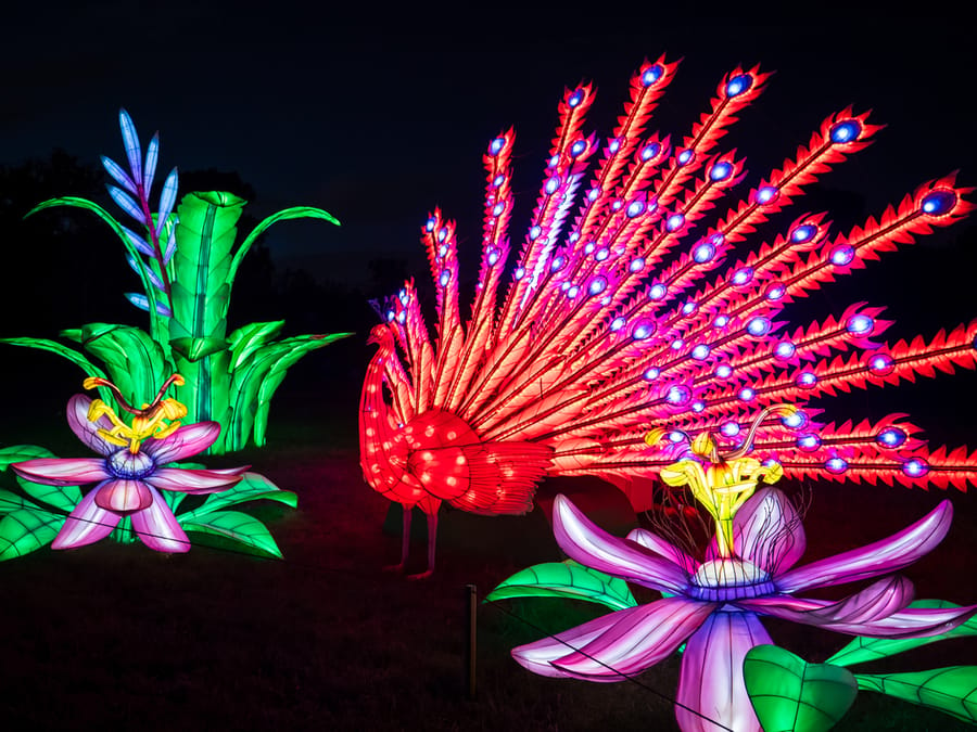 Houston_Botanic_Garden-Chinese_Lantern_Festival_11