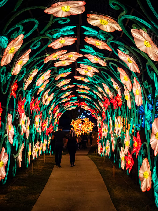 Houston_Botanic_Garden-Chinese_Lantern_Festival_13