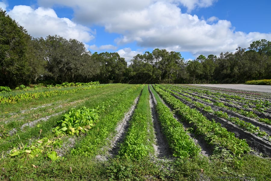 Farm Tour - Nov. 2023