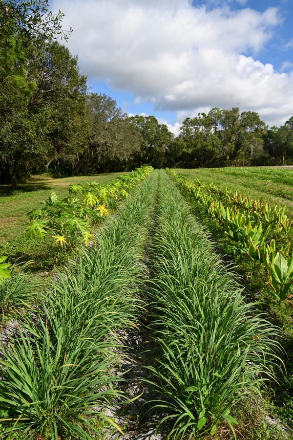 Farm Tour - Nov. 2023