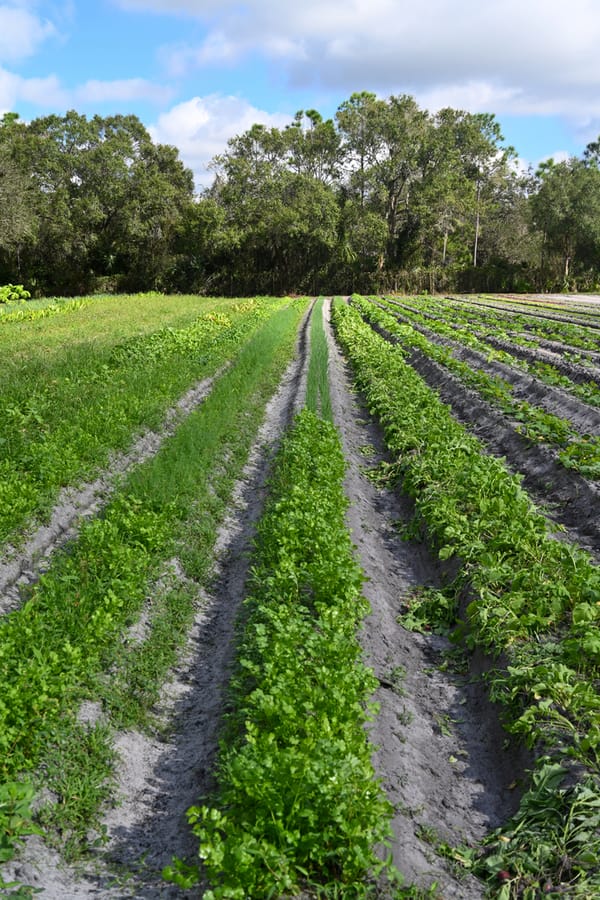 Farm Tour - Nov. 2023