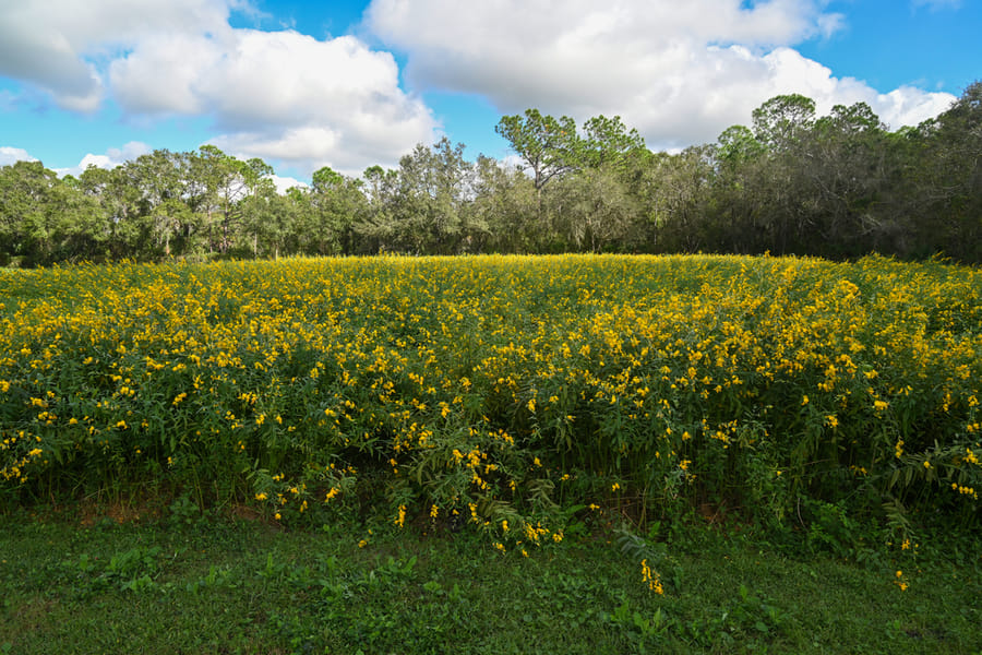 Farm Tour - Nov. 2023