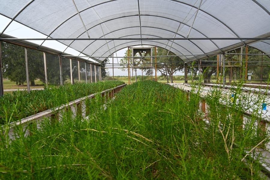Farm Tour - Nov. 2023