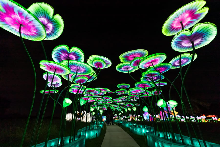 Houston_Botanic_Garden-Chinese_Lantern_Festival_6