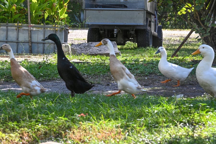 Farm Tour - Nov. 2023