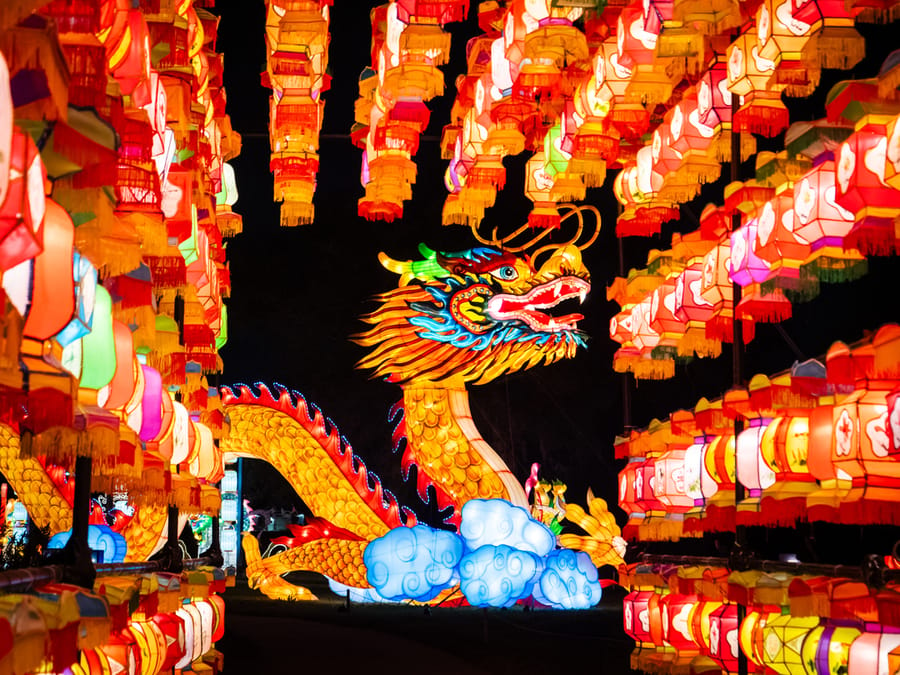 Houston_Botanic_Garden-Chinese_Lantern_Festival_12