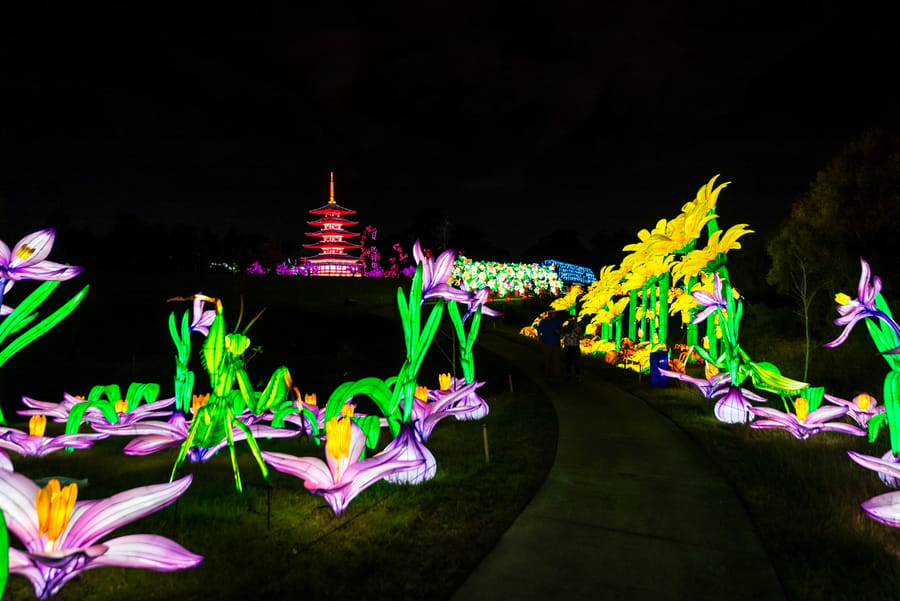 Houston_Botanic_Garden-Chinese_Lantern_Festival_10