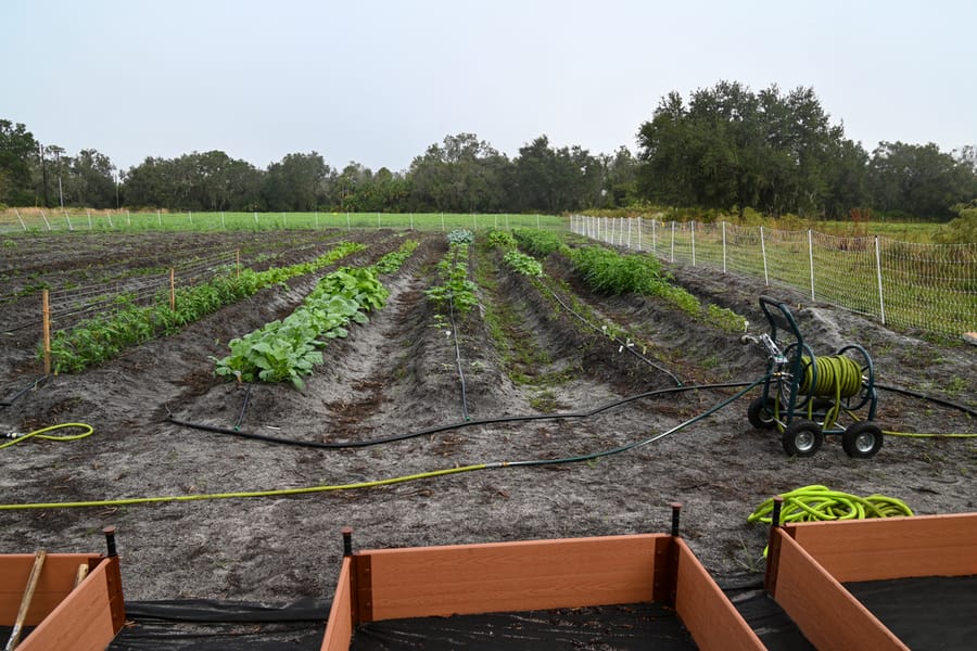 Farm Tour - Nov. 2023
