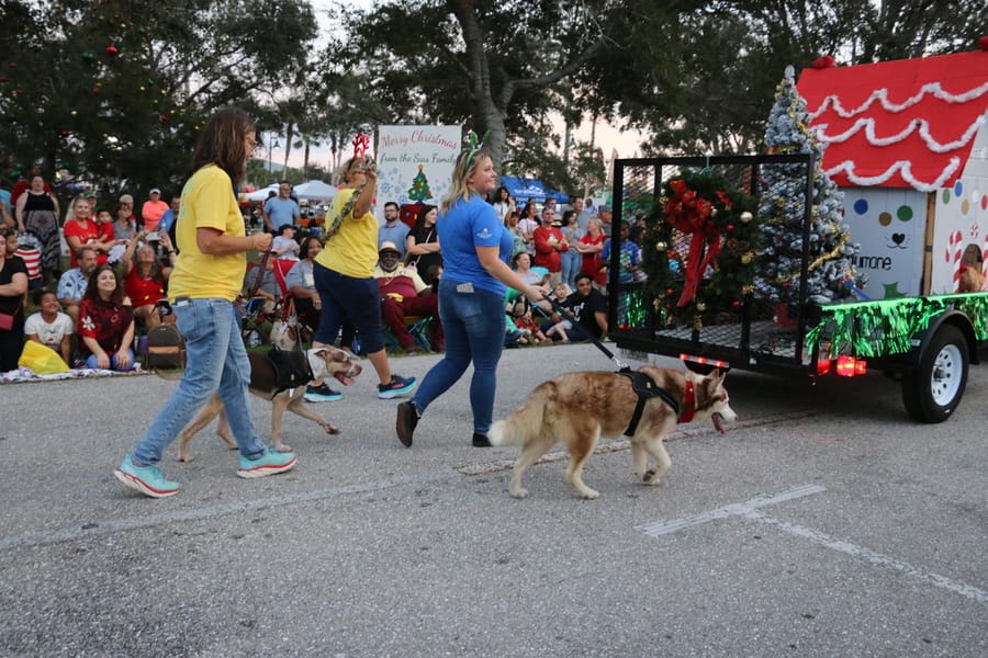 Poinsettia_parade_festival_20231202 (186)