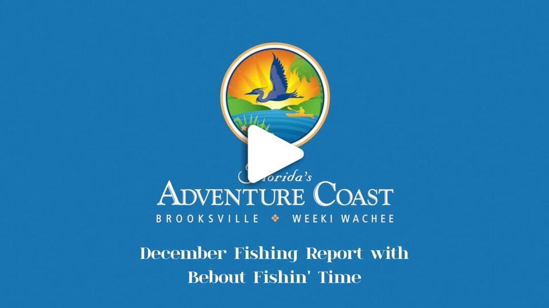 Fishing Report December 2023