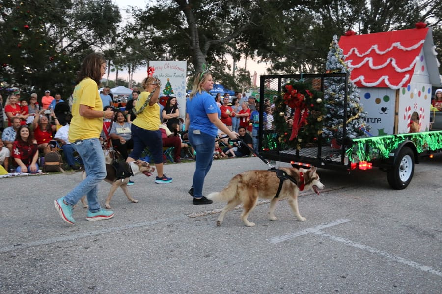 Poinsettia_parade_festival_20231202 (187)