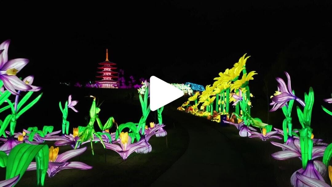 Houston_Botanic_Garden-Chinese_Lantern_Festival_4