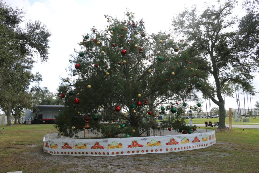 Poinsettia_parade_festival_20231202 (17)